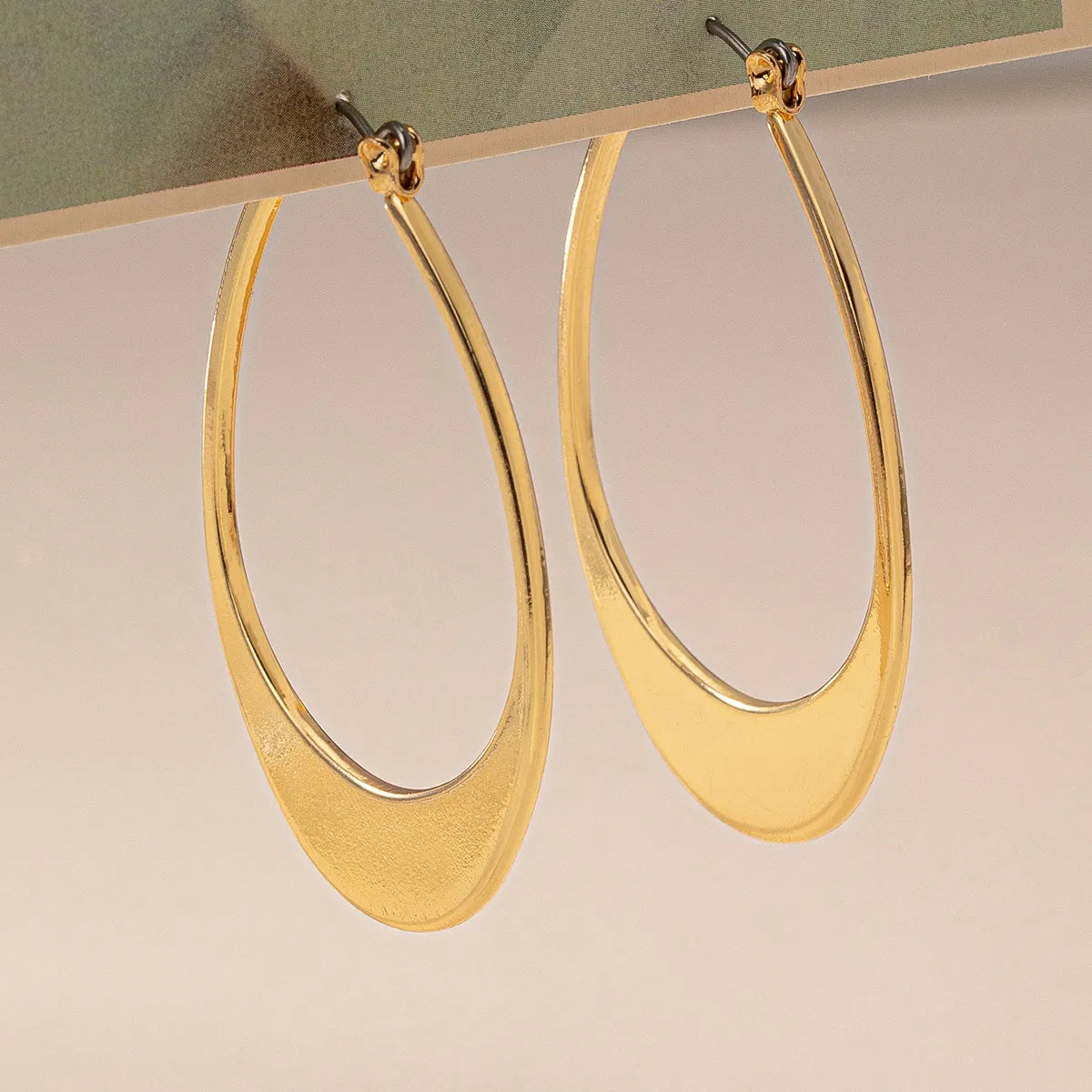 Leafy charm earrings -1 Pair Exaggerated Simple Style Commute Solid Color Hollow Out Alloy Earrings